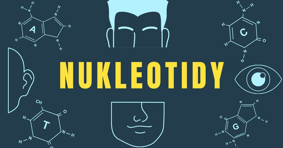 Nukleotidy